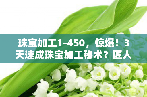 珠宝加工1-450,惊爆!3天速成珠宝加工秘术?匠人揭秘背后惊人真相! 珠宝加工1-450,惊爆!3天速成珠宝加工秘术?匠人揭秘背后惊人真相!