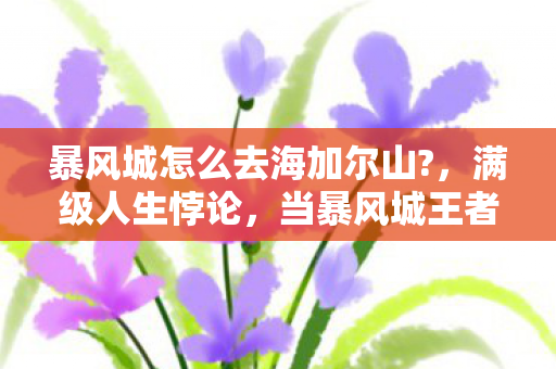 暴风城怎么去海加尔山?，满级人生悖论，当暴风城王者在现实深渊听见海加尔山的召唤