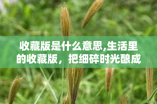 收藏版是什么意思,生活里的收藏版，把细碎时光酿成可触摸的专属浪漫