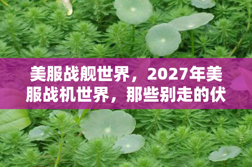 美服战舰世界，2027年美服战机世界，那些别走的伏笔，让我鼻子一酸