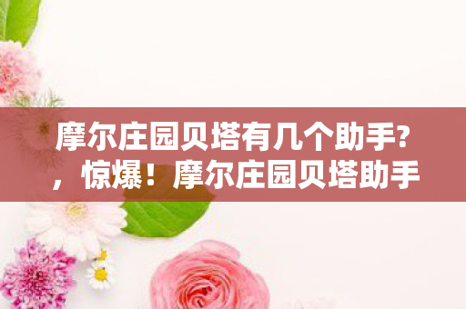 摩尔庄园贝塔有几个助手?，惊爆！摩尔庄园贝塔助手竟花300万？背后隐情让人吓一跳！