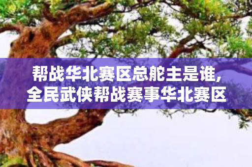 帮战华北赛区总舵主是谁,全民武侠帮战赛事华北赛区，总舵主的江湖成长纪事