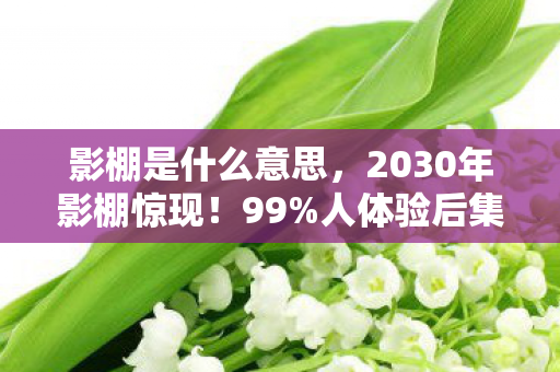 影棚是什么意思，2030年影棚惊现！99%人体验后集体失控，真相颠覆认知！