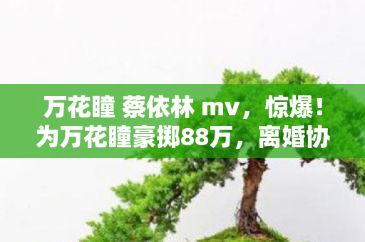 万花瞳 蔡依林 mv,惊爆!为万花瞳豪掷88万,离婚协议藏隐情,吓一跳! 万花瞳 蔡依林 mv,惊爆!为万花瞳豪掷88万,离婚协议藏隐情,吓一跳!