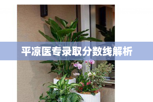 平凉医专录取分数线解析图片