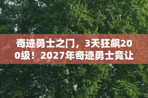 奇迹勇士之门，3天狂飙200级！2027年奇迹勇士竟让百万玩家集体破防？