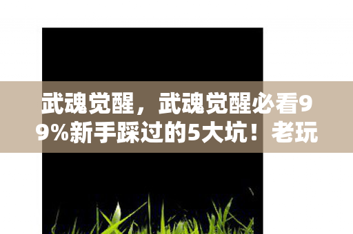 武魂觉醒，武魂觉醒必看99%新手踩过的5大坑！老玩家血泪心得全公开