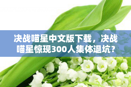 决战喵星中文版下载，决战喵星惊现300人集体退坑？神秘代码疑云，老炮网吧当场绷不住！