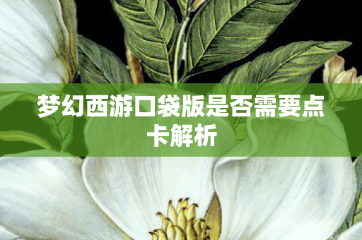 梦幻西游口袋版是否需要点卡解析图片