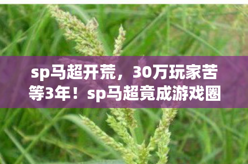 sp马超开荒，30万玩家苦等3年！sp马超竟成游戏圈最心酸未亡人？