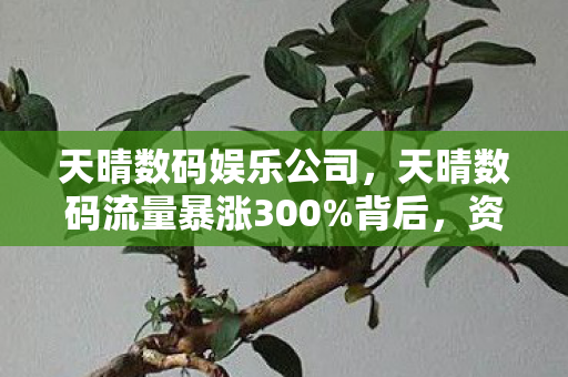 天晴数码娱乐公司，天晴数码流量暴涨300%背后，资本疑云密布，玩家心寒何时休？