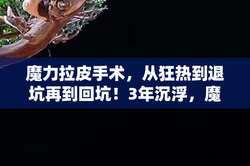 魔力拉皮手术，从狂热到退坑再到回坑！3年沉浮，魔力拉竟让我体验了人生过山车？