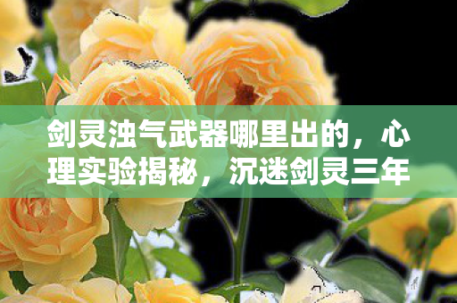 剑灵浊气武器哪里出的,心理实验揭秘,沉迷剑灵三年,细思极恐的浊气武器陷阱 剑灵浊气武器哪里出的,心理实验揭秘,沉迷剑灵三年,细思极恐的浊气武器陷阱