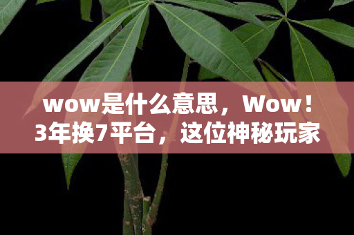 wow是什么意思,Wow!3年换7平台,这位神秘玩家为何总在深夜卸载游戏? wow是什么意思,Wow!3年换7平台,这位神秘玩家为何总在深夜卸载游戏?
