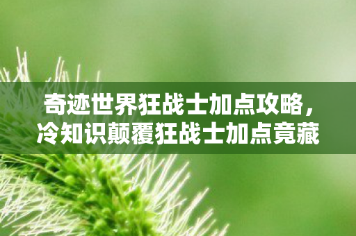 奇迹世界狂战士加点攻略，冷知识颠覆狂战士加点竟藏着目瞪口呆的数学陷阱！