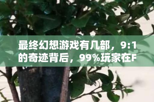 最终幻想游戏有几部,9:1的奇迹背后,99%玩家在FF新章里为何被孤独感击穿? 最终幻想游戏有几部,9:1的奇迹背后,99%玩家在FF新章里为何被孤独感击穿?