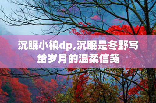 沉眠小镇dp,沉眠是冬野写给岁月的温柔信笺 沉眠小镇dp,沉眠是冬野写给岁月的温柔信笺