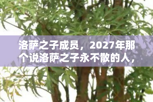 洛萨之子成员，2027年那个说洛萨之子永不散的人，伏笔里藏着鼻子一酸的结局