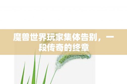 魔兽世界玩家集体告别图片