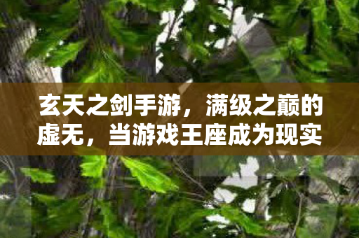 玄天之剑手游,满级之巅的虚无,当游戏王座成为现实废墟的终极悖论 玄天之剑手游,满级之巅的虚无,当游戏王座成为现实废墟的终极悖论