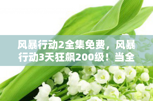 风暴行动2全集免费，风暴行动3天狂飙200级！当全服第一突然删号，这封遗书让百万玩家破防
