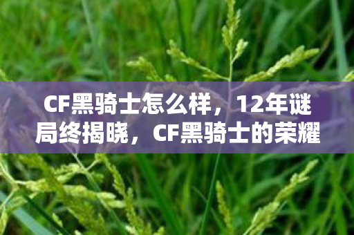 CF黑骑士怎么样,12年谜局终揭晓,CF黑骑士的荣耀与泪目征程 CF黑骑士怎么样,12年谜局终揭晓,CF黑骑士的荣耀与泪目征程