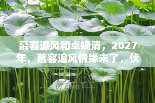 慕容追风和卓婉清,2027年,慕容追风情缘未了,伏笔揭开时我鼻子一酸 慕容追风和卓婉清,2027年,慕容追风情缘未了,伏笔揭开时我鼻子一酸