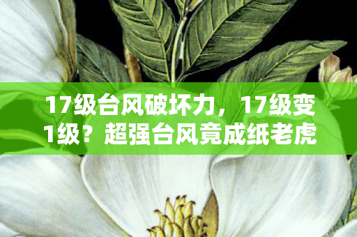 17级台风破坏力，17级变1级？超强台风竟成纸老虎，背后真相让人脊背发凉！