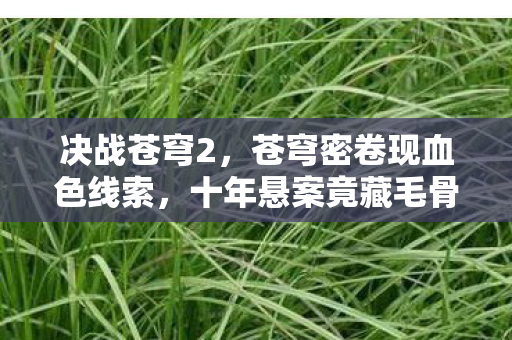 决战苍穹2，苍穹密卷现血色线索，十年悬案竟藏毛骨悚然真相