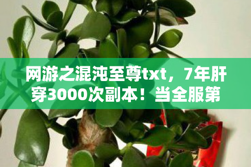 网游之混沌至尊txt，7年肝穿3000次副本！当全服第一突然删号，服务器竟弹出这行血字……