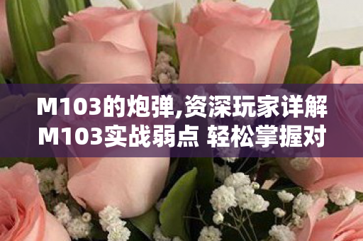 M103的炮弹,资深玩家详解M103实战弱点 轻松掌握对炮优势 M103的炮弹,资深玩家详解M103实战弱点 轻松掌握对炮优势