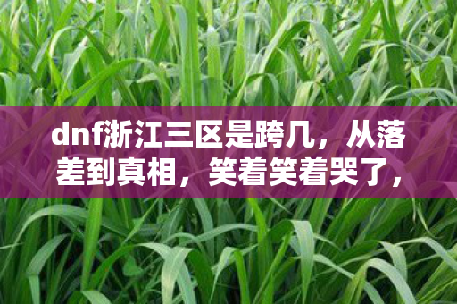 dnf浙江三区是跨几，从落差到真相，笑着笑着哭了，DNF浙江三区我又回来了