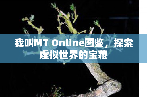 我叫MT Online图鉴图片
