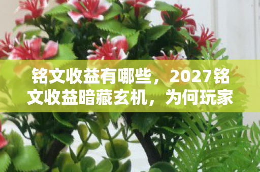 铭文收益有哪些，2027铭文收益暗藏玄机，为何玩家集体沉默？