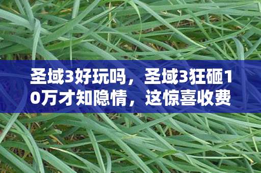 圣域3好玩吗,圣域3狂砸10万才知隐情,这惊喜收费让我吓一大跳! 圣域3好玩吗,圣域3狂砸10万才知隐情,这惊喜收费让我吓一大跳!