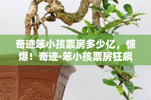 奇迹笨小孩票房多少亿,惊爆!奇迹·笨小孩票房狂飙破XX亿,泪目体验直击心灵! 奇迹笨小孩票房多少亿,惊爆!奇迹·笨小孩票房狂飙破XX亿,泪目体验直击心灵!