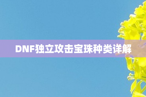 DNF独立攻击宝珠种类详解图片