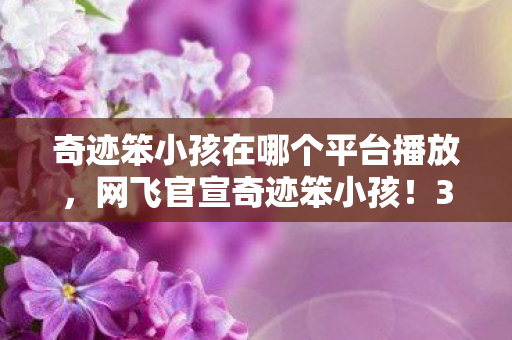 奇迹笨小孩在哪个平台播放，网飞官宣奇迹笨小孩！3000受访者疑点重重，我绷不住了