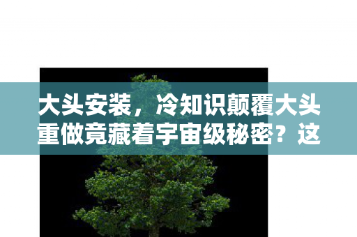 大头安装，冷知识颠覆大头重做竟藏着宇宙级秘密？这些设计让你目瞪口呆！