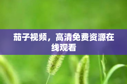 高清免费资源在线观看图片