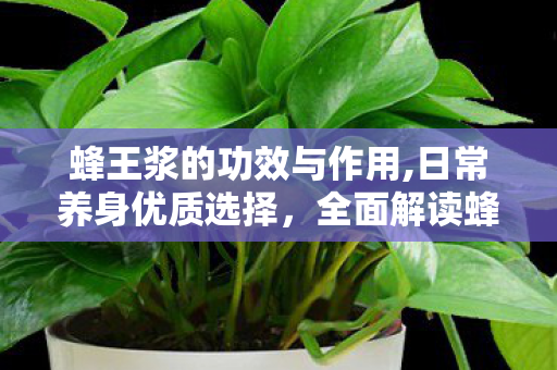 蜂王浆的功效与作用,日常养身优质选择，全面解读蜂王浆的多重实用功效