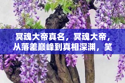 冥魂大帝真名，冥魂大帝，从落差巅峰到真相深渊，笑着笑着就哭了