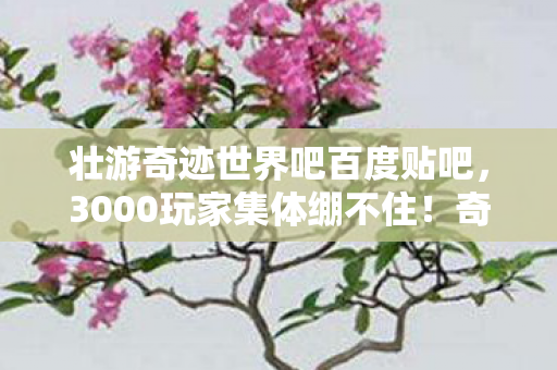 壮游奇迹世界吧百度贴吧，3000玩家集体绷不住！奇迹世界惊现时间裂缝？老玩家，这BUG我熟