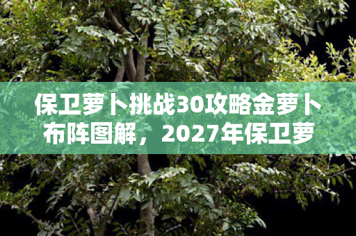 保卫萝卜挑战30攻略金萝卜布阵图解，2027年保卫萝卜终章，金萝卜阵前谁轻叹别走，我删号时鼻子一酸