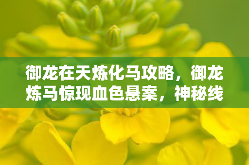 御龙在天炼化马攻略，御龙炼马惊现血色悬案，神秘线索指向2027年，玩家集体毛骨悚然
