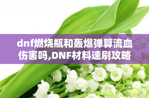 dnf燃烧瓶和轰爆弹算流血伤害吗,DNF材料速刷攻略，燃烧的心脏高掉落点位全解析
