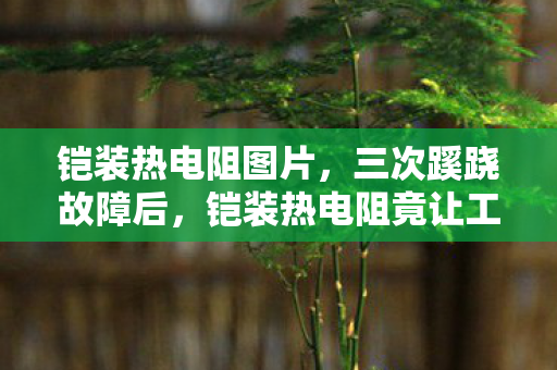 铠装热电阻图片,三次蹊跷故障后,铠装热电阻竟让工程师后背发凉! 铠装热电阻图片,三次蹊跷故障后,铠装热电阻竟让工程师后背发凉!