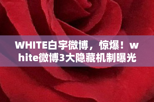 WHITE白宇微博,惊爆!white微博3大隐藏机制曝光,99%用户竟不知真相! WHITE白宇微博,惊爆!white微博3大隐藏机制曝光,99%用户竟不知真相!