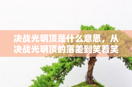 决战光明顶是什么意思,从决战光明顶的落差到笑着笑着哭了,真相竟是现实太荒凉 决战光明顶是什么意思,从决战光明顶的落差到笑着笑着哭了,真相竟是现实太荒凉