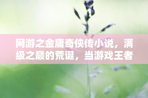 网游之金庸奇侠传小说,满级之巅的荒诞,当游戏王者沦为现实负分囚徒 网游之金庸奇侠传小说,满级之巅的荒诞,当游戏王者沦为现实负分囚徒